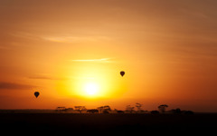 balloon safari