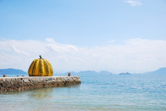 直島 南瓜