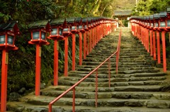 貴船の朝