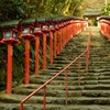 貴船の朝