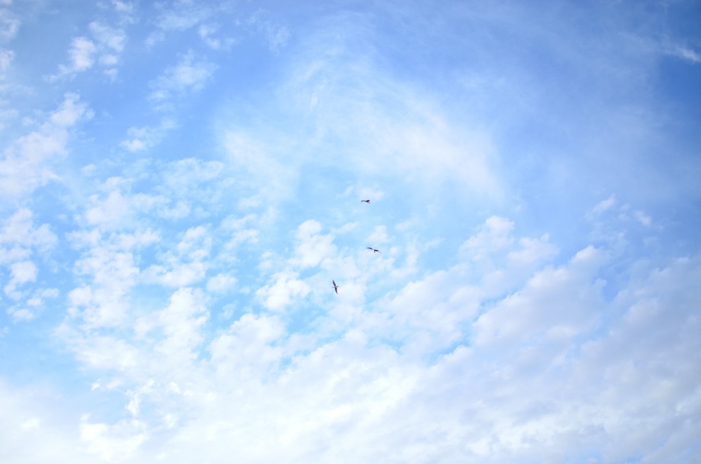 Il cielo,