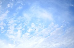Il cielo,