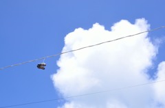空飛ぶくつ