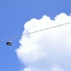 空飛ぶくつ