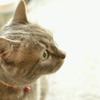 白とびも似合う
