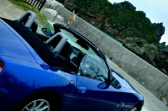 Blue Metallic Wonderland