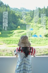 棚田を眺む