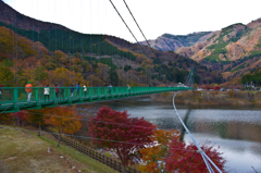 もみじ谷大吊橋と紅葉