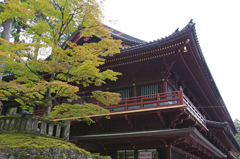 日光の社寺とわずかな紅葉