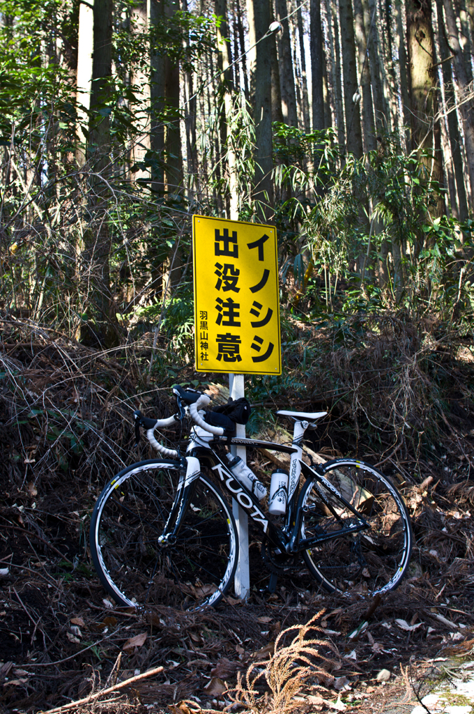 羽黒山ヒルクライム