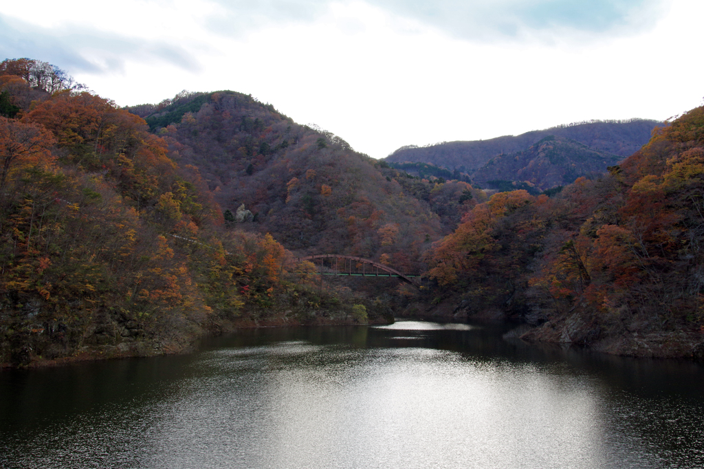 もみじ谷大吊橋からの紅葉