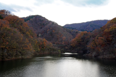 もみじ谷大吊橋からの紅葉
