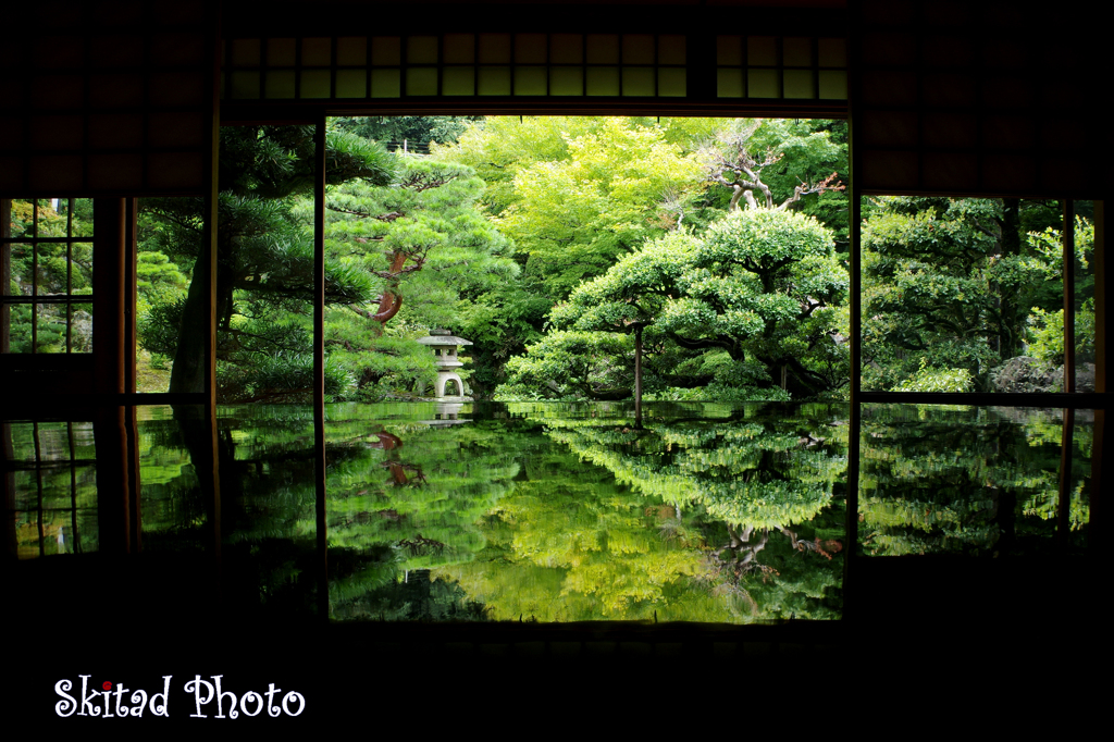 晩夏の緑