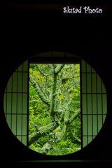 悟りの窓