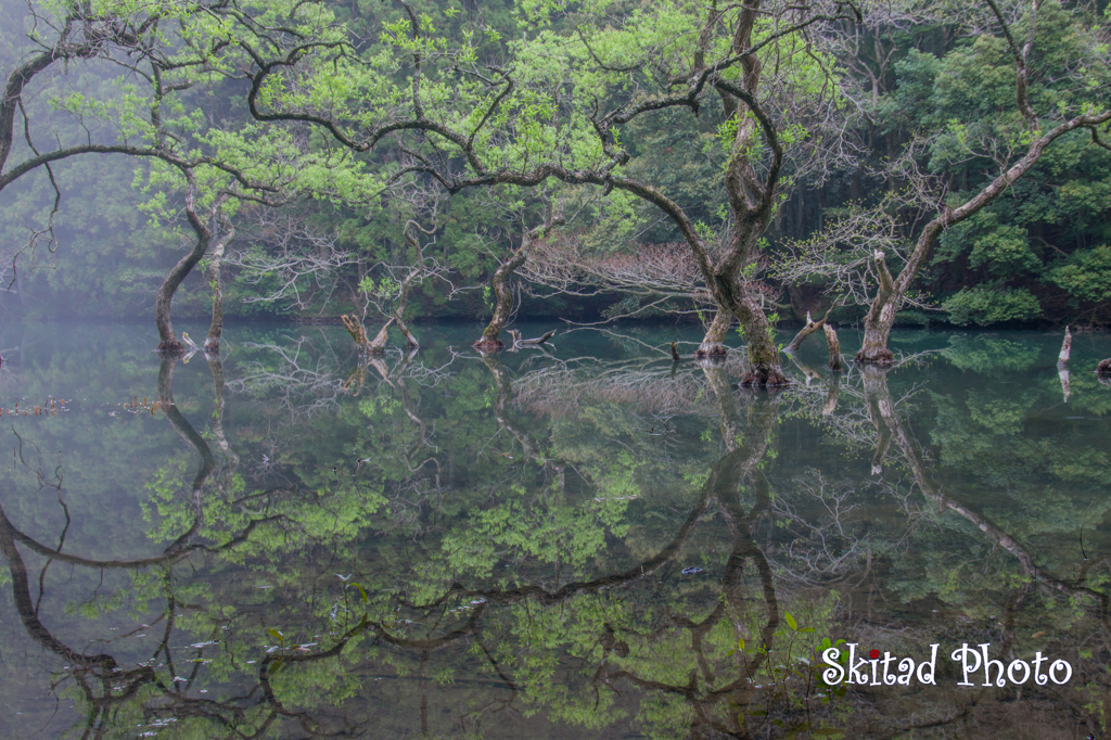 神秘の池