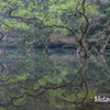 神秘の池
