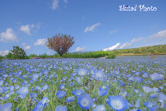 Blue&Blule