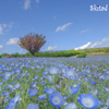Blue&Blule