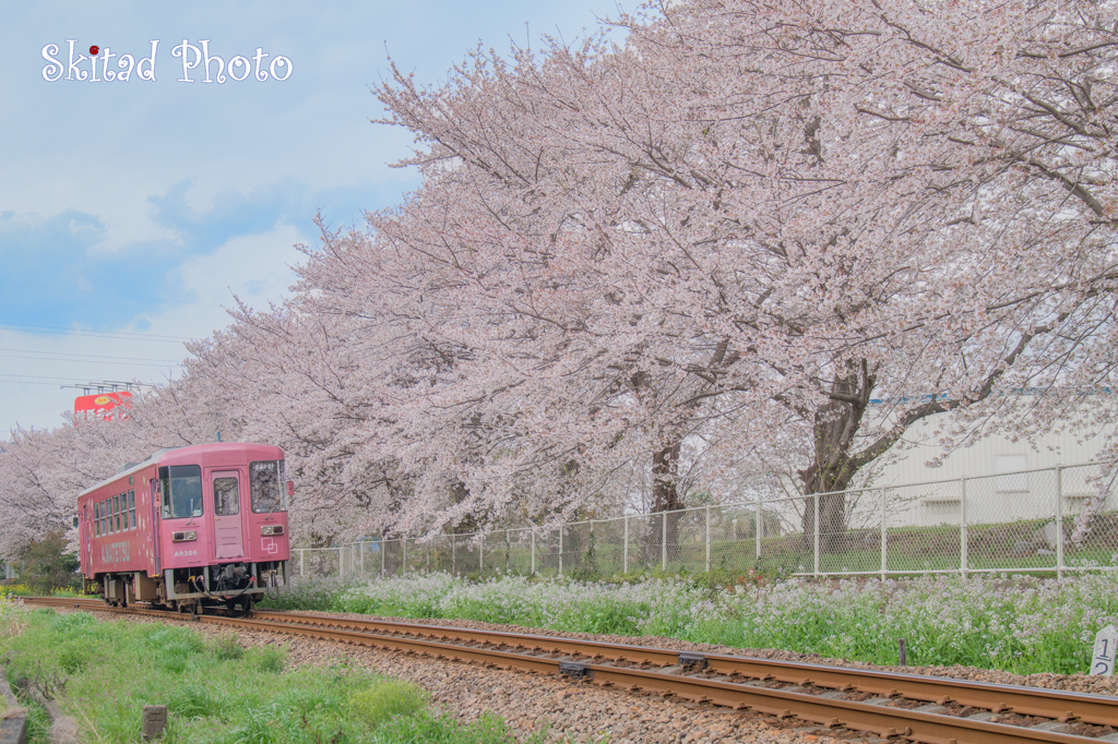 春列車３