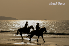 夕陽の海、馬は風となる。
