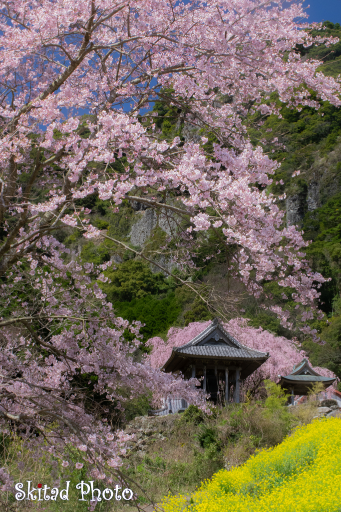 山寺の春