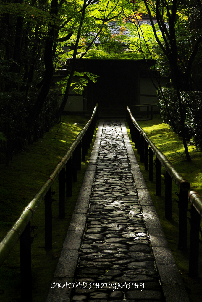 夏の細道