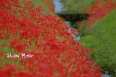 秋の小川