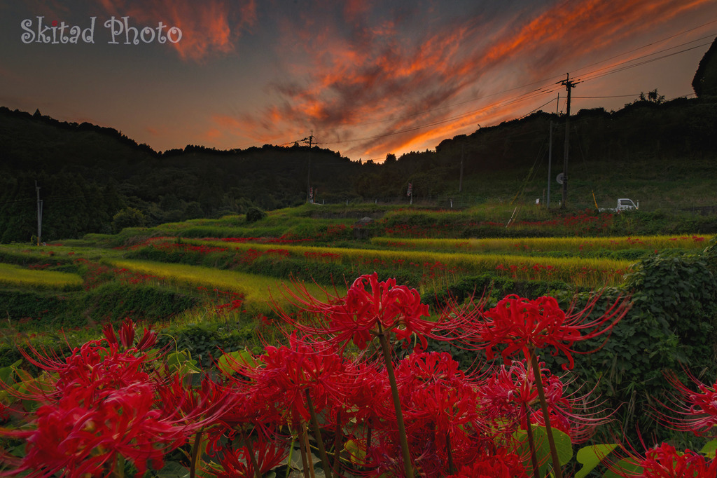棚田の夕暮れ