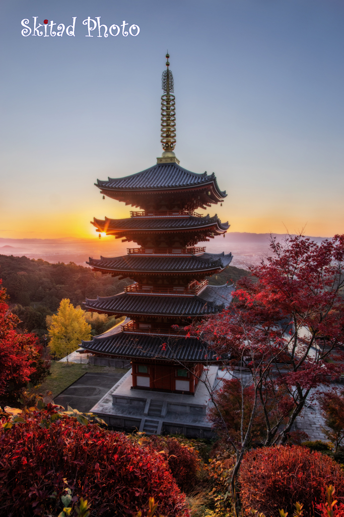 秋の五重塔