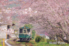 春列車