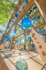 暑中お見舞