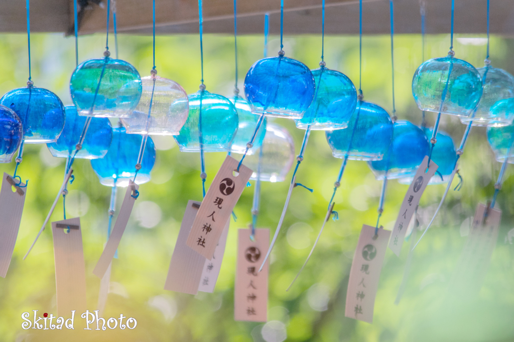 夏のはじまり