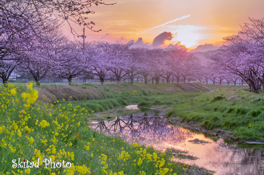 朝の草場川