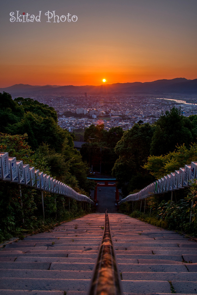 夕日の道