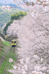 春の中を…