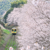 春の中を…