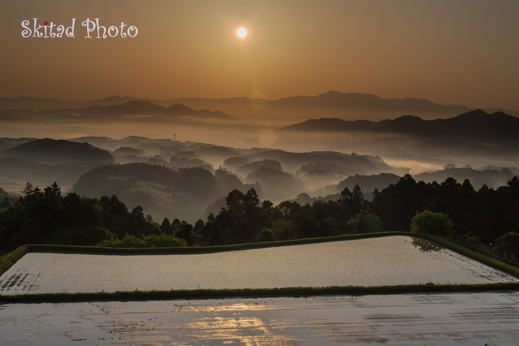 朝景