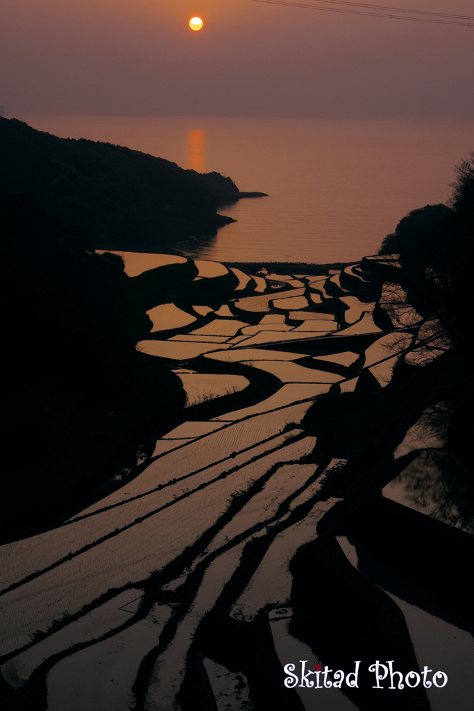 浜野浦棚田