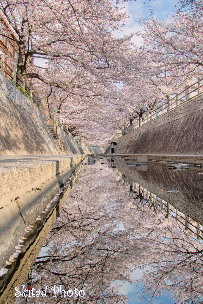 春の早朝
