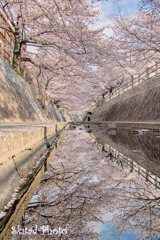 春の早朝