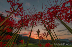 秋の夕暮れ