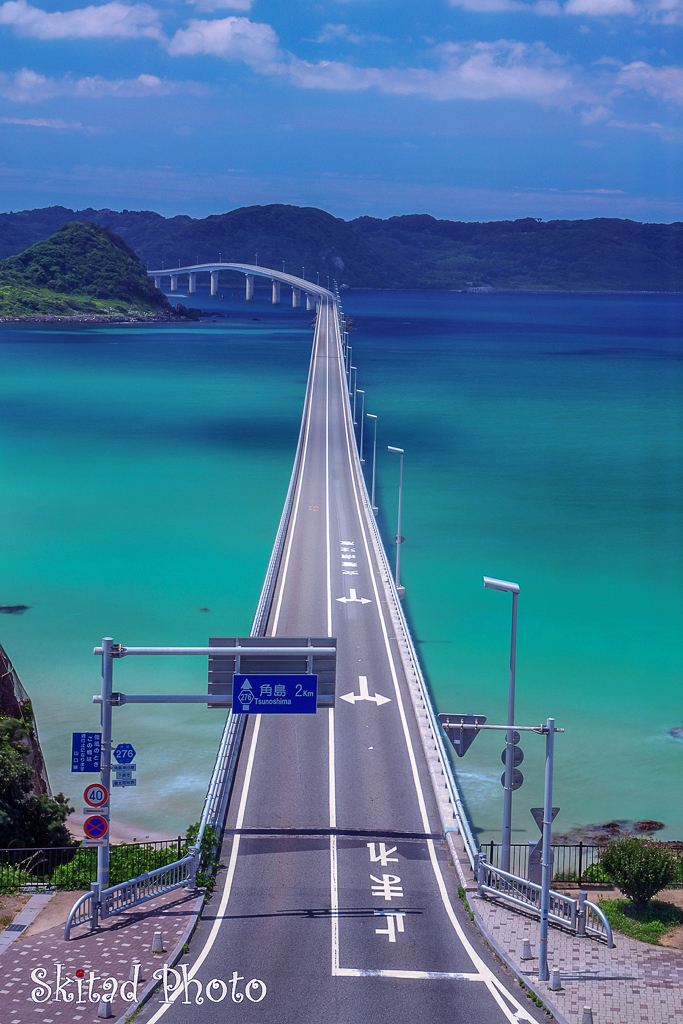 夏から続く道