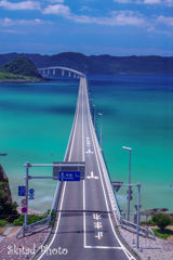 夏から続く道
