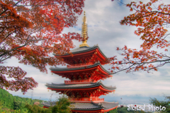 紅葉は突然に…