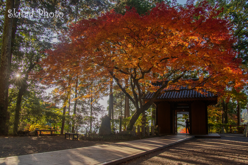 独り占めの光景