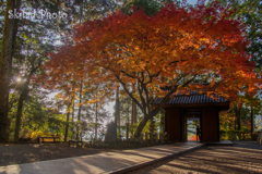 独り占めの光景