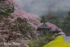 伊万里の古寺