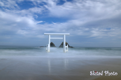 夏の海鳥居