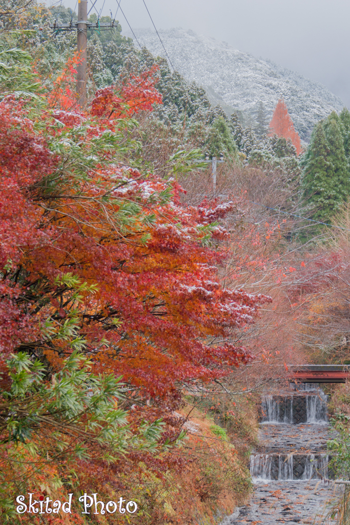 秋のち雪２
