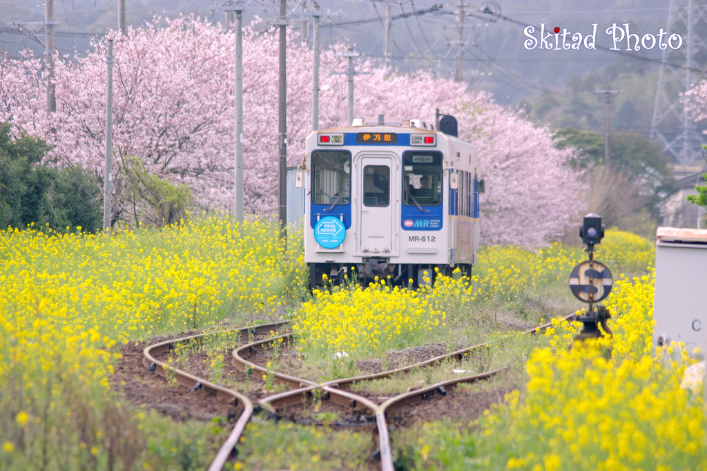春列車